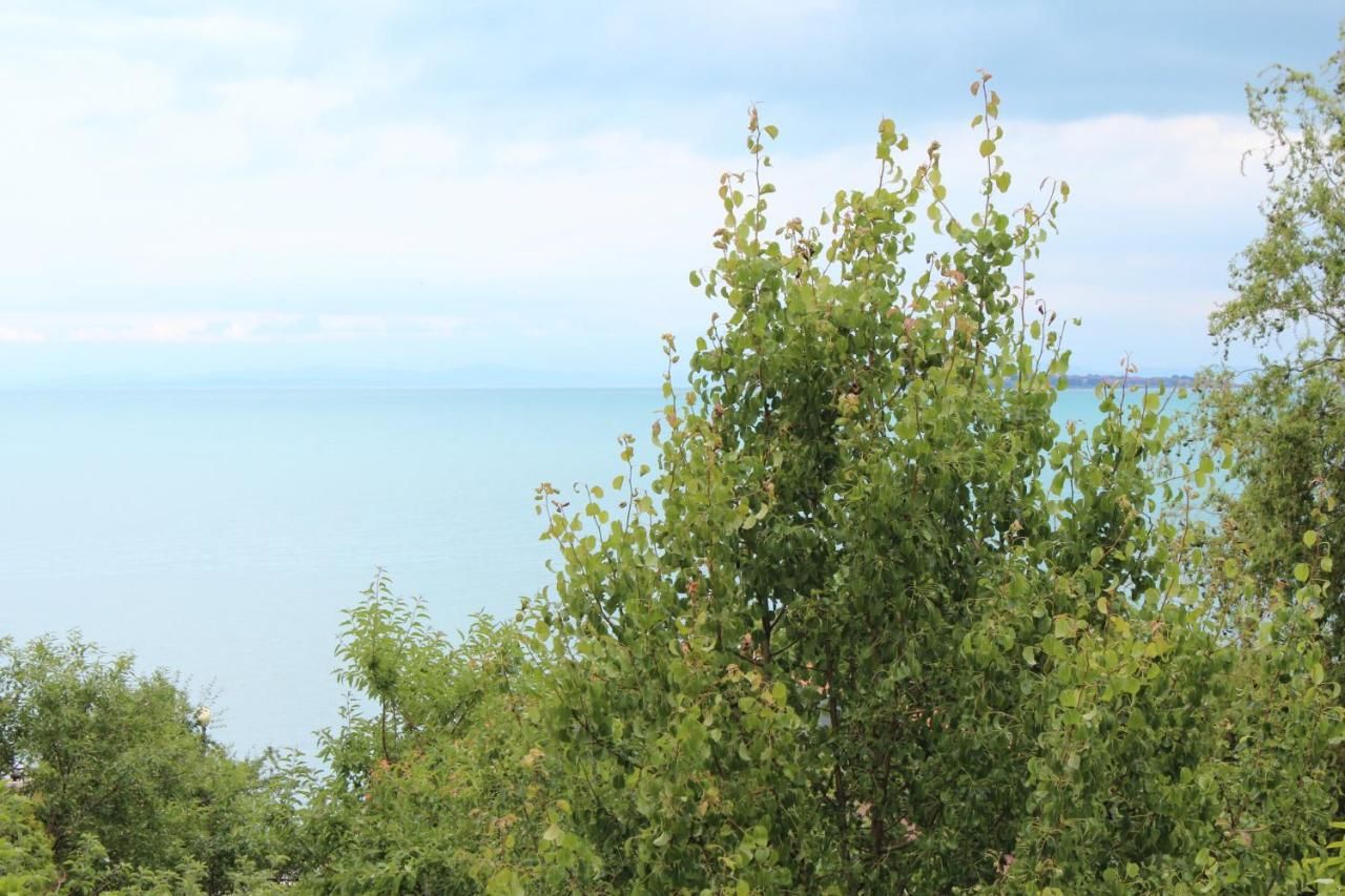 Апарт-отели Panorama South Свети-Влас-7